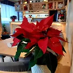 Vittoria Hotel 2*