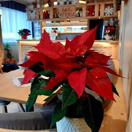 Vittoria Hotel 2*